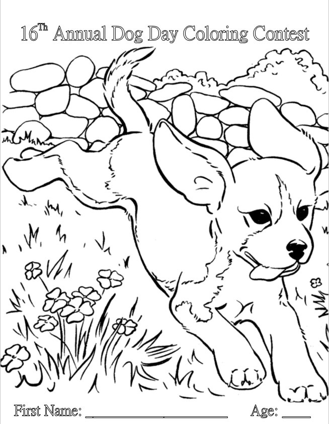 2020 coloring contest front
