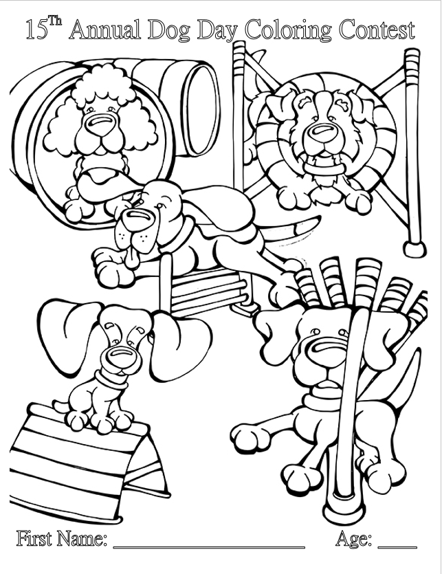 2019 coloring contest front
