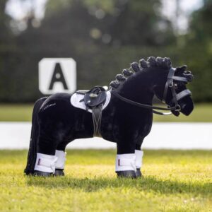 black bridle on horse