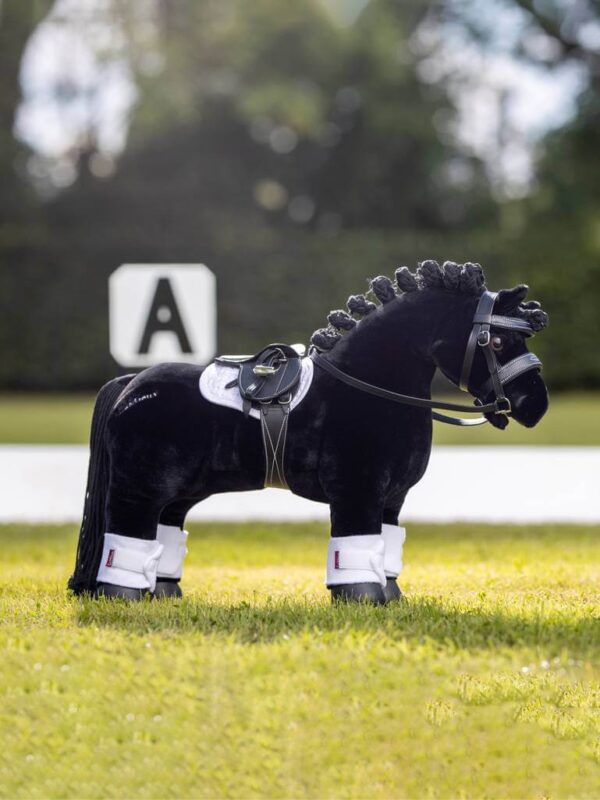 black bridle on horse