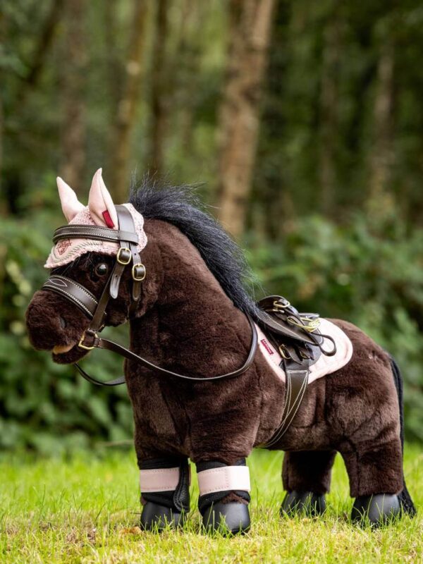 bridle on dark brown horse