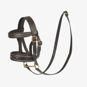 Brown bridle