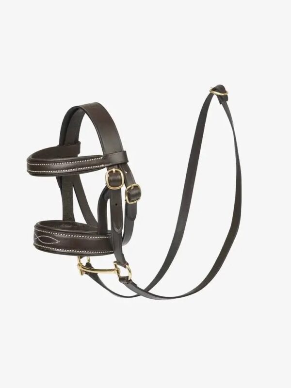 Brown bridle