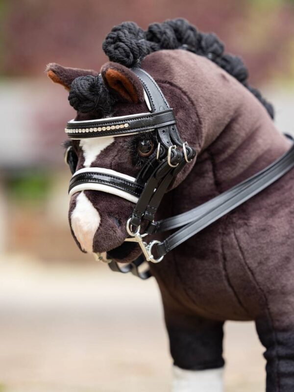 double bridle on brown horse